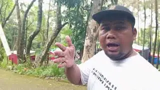 sambutan pemerintah