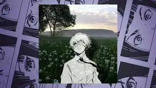 Майами-Австралия