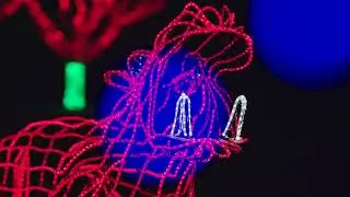 Oregon's Most Popular Holiday Tradition: ZooLights