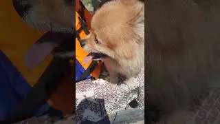 Юни готовится спуститься на воду