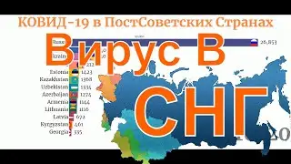 Коронавирус Статистика 28 мая  в СНГ, Россия, Украина, Беларусь, Казахстан, Армения, ковид сегодня