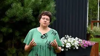 Сводка на 19 июля 2020г.