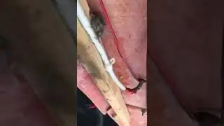 Typical DIY boat wiring