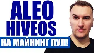 Как Майнить Aleo в HiveOS на Пуле в Пару Кликов (Плюсы и Минусы) 