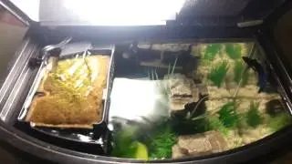 Aqueon Mini Bow 2.5