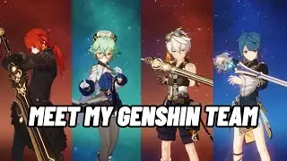meet my genshin team