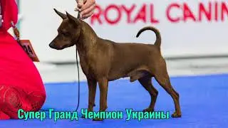 Наш Герой.