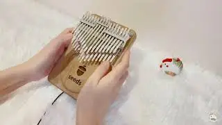 Melody of the Night 5 : Seeds 34 Keys Kalimba Cover