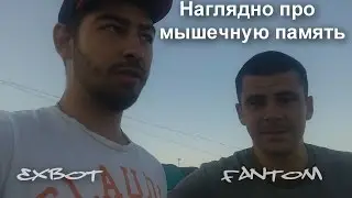 Видеоурок #2 