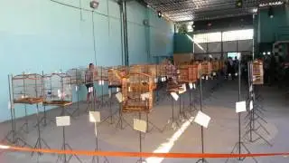Abertura do torneio dos campeões Baixadão!!!!