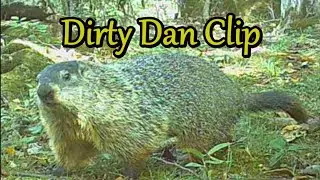 Dirty Dan Clip from Channel Talk Video coming Friday May 3rd