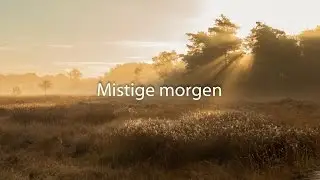 Ingezonden foto bewerking deel 35 : Mistige morgen
