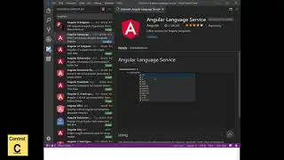 Angular 7 EP 03 : install extension for vs code
