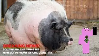 Circular pigs