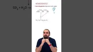 2022 AYT BİYOLOJİ KEMOSENTEZ SORUSU BARIŞ HOCA DOKTOR BİYOLOJİ