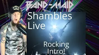New Favorite! Band Maid, Shambles Official Live Video!