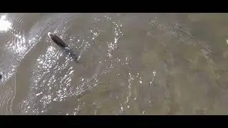 Село Романово Рыбалка