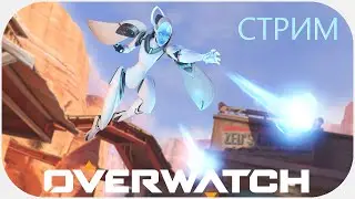 STREAM | Overwatch | New Hero Echo