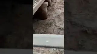 11 мая 2024 г.
