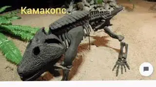 Татарский миллимиг.Время от 260 до 240 млн.лет назад.