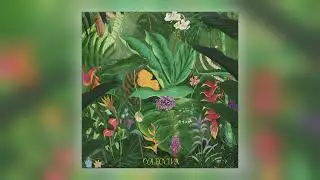 Colectiva - Ayu Ayú [Audio]