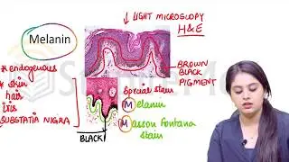 Intra Cellular Accumulations Explained by Dr. Preeti sharma in Pathology Pathshala