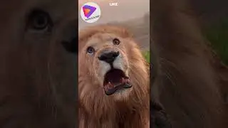 #animallover #animals #subscribe #forest #life #love #trending  #world #saveanimals #saveforest #ai