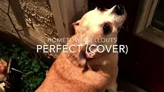 HOMETOWN SELLOUTS- PERFECT (PUNK GOES POP COVER)