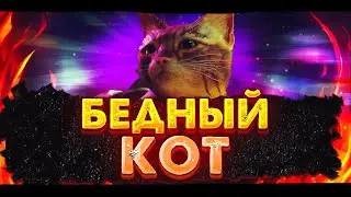 БЕДНЫЙ БОБИК(  ОБЗОР НА STRAY | Stray 1/2 часть