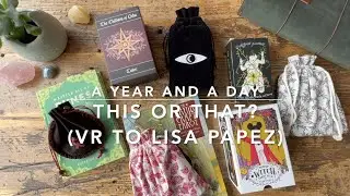 This or That? (VR to Lisa Papez)