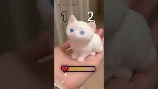 CAT OR CAT PAW? 💕 SQUISHYCHUU.COM