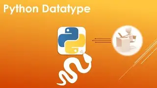 Python Datatype | Python Programming