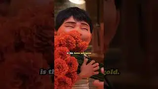 Facts You Should Know About Disney's Coco #shorts