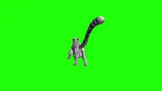 Leopard Run O Green Screen Video Footage Free 