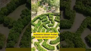 suasana taman hutan kota penjaringan #shorts #fyp #viral #trending