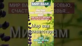 МИР ВАМ✝️БОЖЬИХ БЛАГОСЛОВЕНИЙ✝️#рек #психология #германия #спасение #вера #евангелие #вера #хочуврек