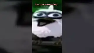 АаааааАаАААааа 