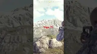 Vigor PC и не нужны снайперские винтовки