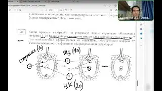 Разбор московского пробника от ФИПИ. Апрель. ЕГЭ по биологии