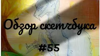 Обзор скетчбука#55