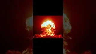 ПТИЧКИ ЛЕТЯТ БОМБИТЬ ПОРОСЯТ 