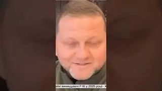 Залужний.