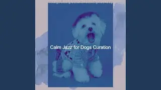 Bubbly Calming Your Dog
