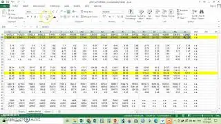 HOW TO KEY-IN AND DO DATA TRANSFORMATION USING EXCEL