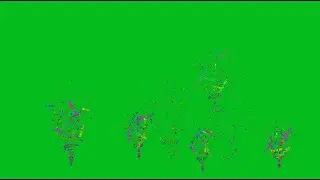 Confetti Blast green screen. Chroma key animation background system. (Animated graphics)