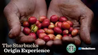 The Starbucks Origin Experience