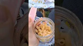 Лесной Перекусик 🍴🍱