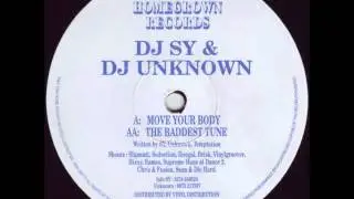 DJ Sy & Unknown - Move your body