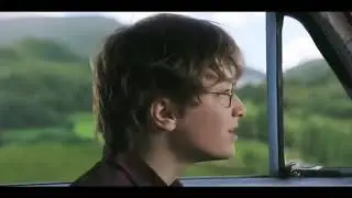 Не лезь дебил она тебя сожрёт. Гарри Поттер