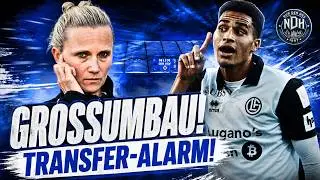 HSV NEWS! HSV OVERHAUL! Transfer poker for Cimignani – New board member incoming